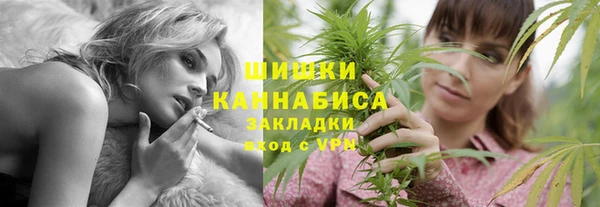 таблы Гусев