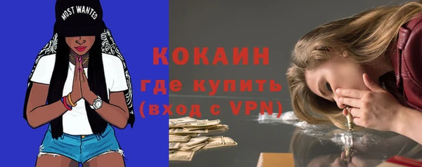 таблы Гусев