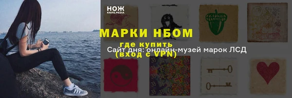 таблы Гусев