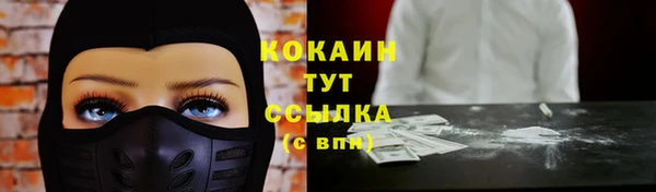 таблы Гусев