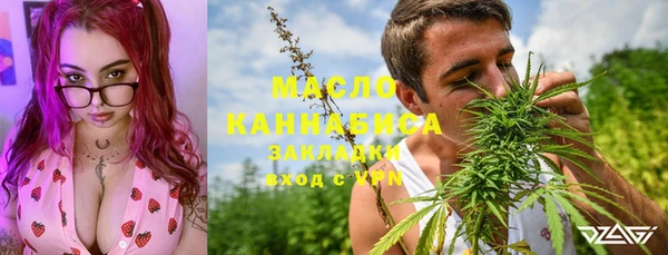 таблы Гусев
