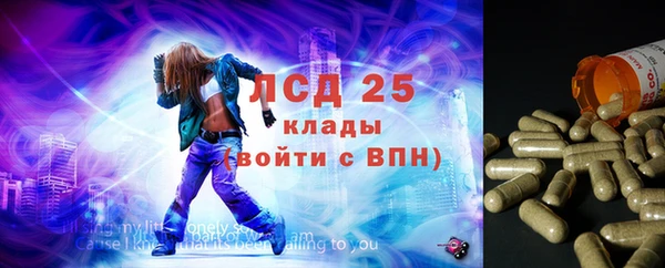 таблы Гусев