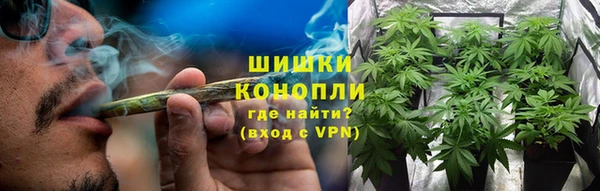 mix Гусиноозёрск