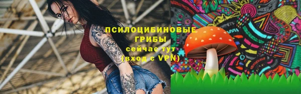 таблы Гусев