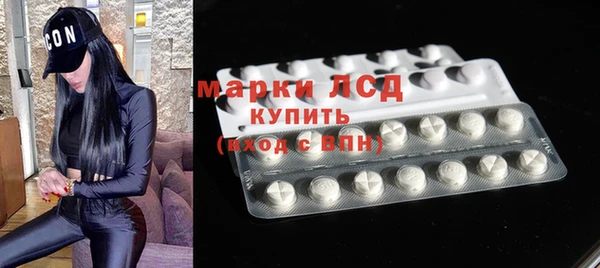 таблы Гусев